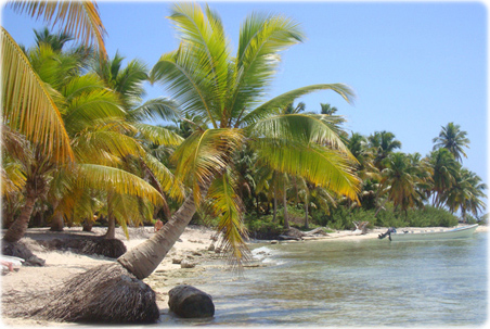 Ilha Mussulo
