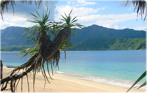 A Costa da Africa Oriental e as ilhas Comores