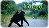 Congo