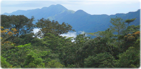 Parque