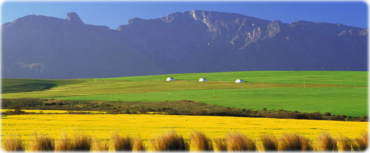 Southern Cape