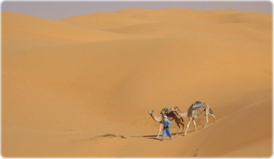 Deserto Argelia