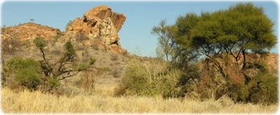 Mapungubwe