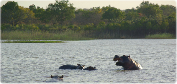 Parque iSimangaliso