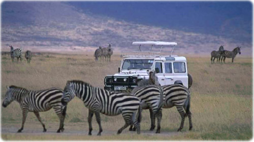 Safari Tanzania