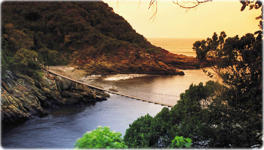 Tsitsikamma National Park