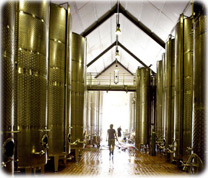 Vinicola
