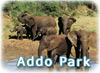 Addo Park