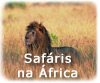 Safari