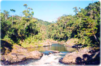 Parque