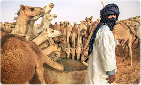 Deserto