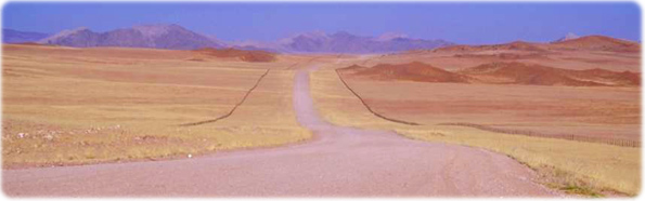 Estrada
