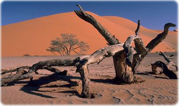 Sossusvlei