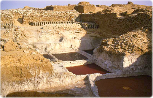 Salinas