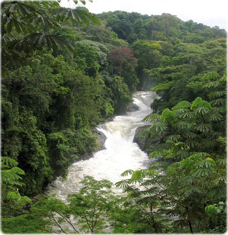 Parque