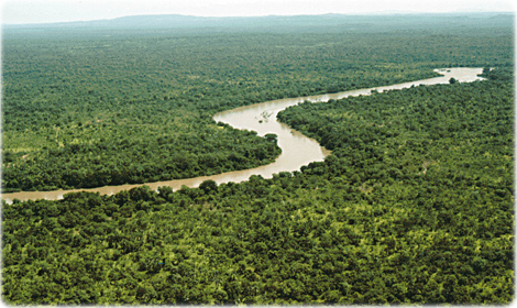 Parque